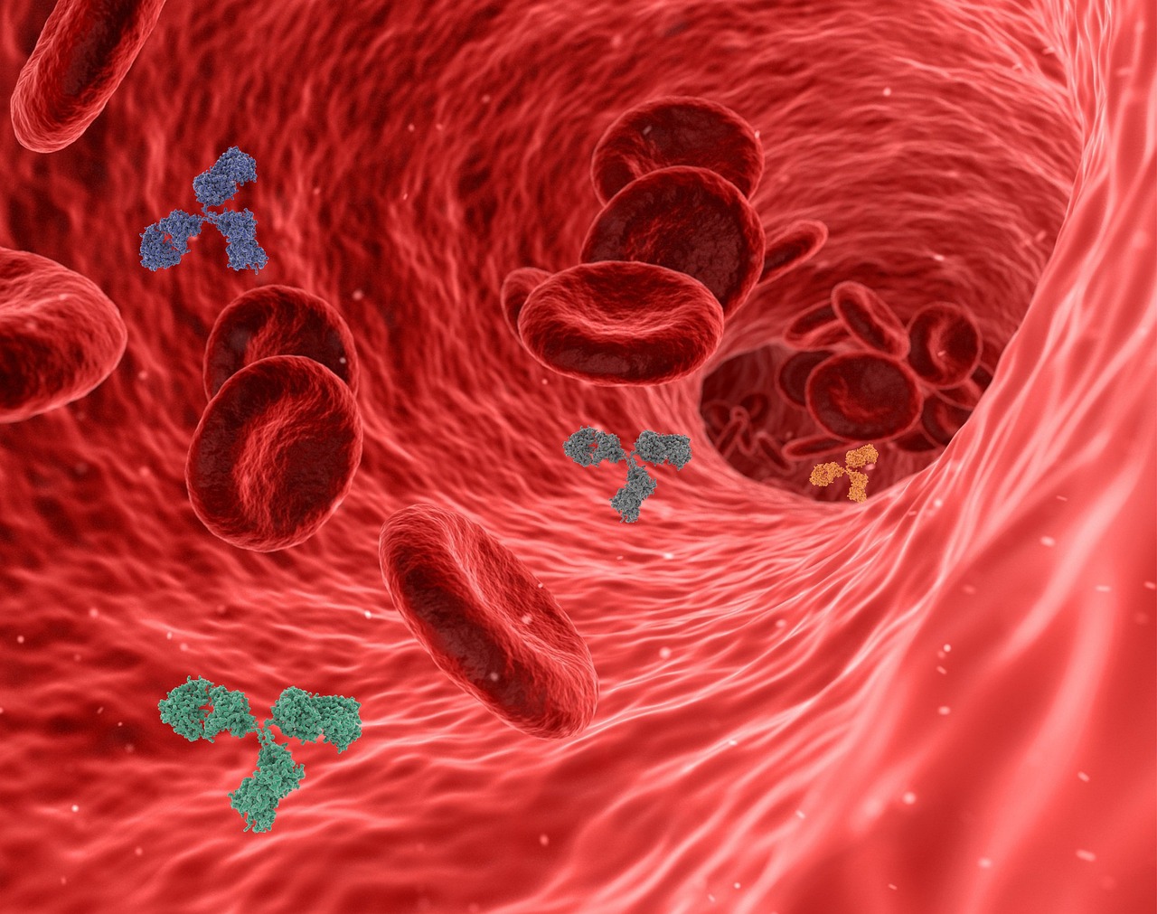 Download free HD stock image of Virus Pathogen Free Virus Pathogen photo and picture